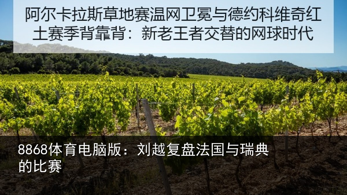 8868体育电脑版：刘越复盘法国与瑞典的比赛