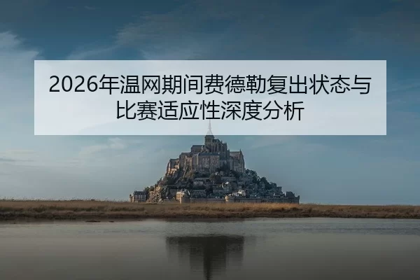 nian-wen-wang-qi-jian-fei-de-lei-fu-chu-zhuang-tai-yu-bi-sai-shi-ying-xing-shen-du-fen-xi-2-780.jpg