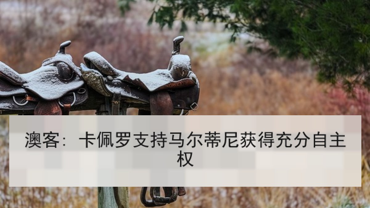 澳客: 卡佩罗支持马尔蒂尼获得充分自主权