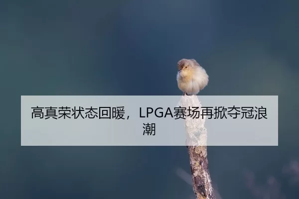 高真荣状态回暖，LPGA赛场再掀夺冠浪潮